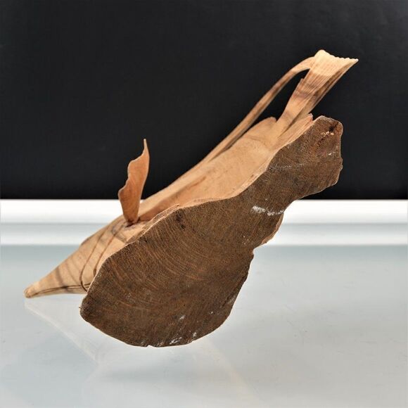 Tropical Oceanic Fish Wood Carved Aquatic Home - Picture 9 of 12